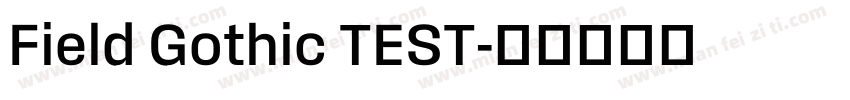 Field Gothic TEST字体转换